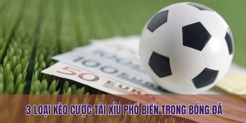 3 loại kèo cược tài xỉu phổ biến trong bóng đá