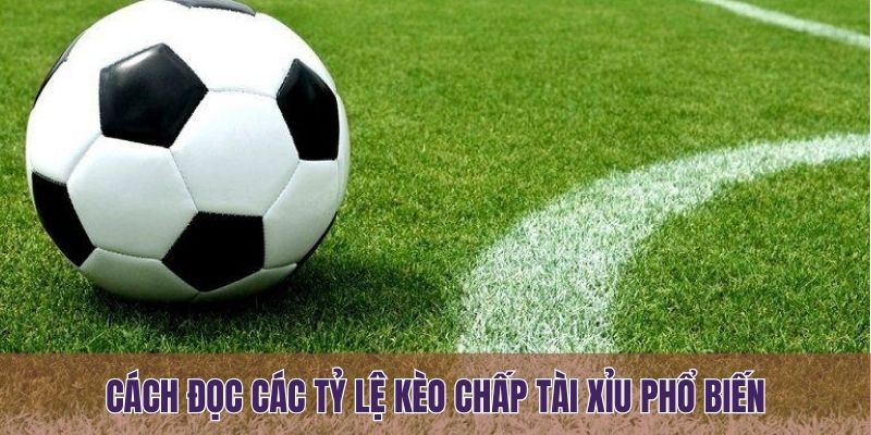 Cách đọc các tỷ lệ kèo chấp tài xỉu phổ biến